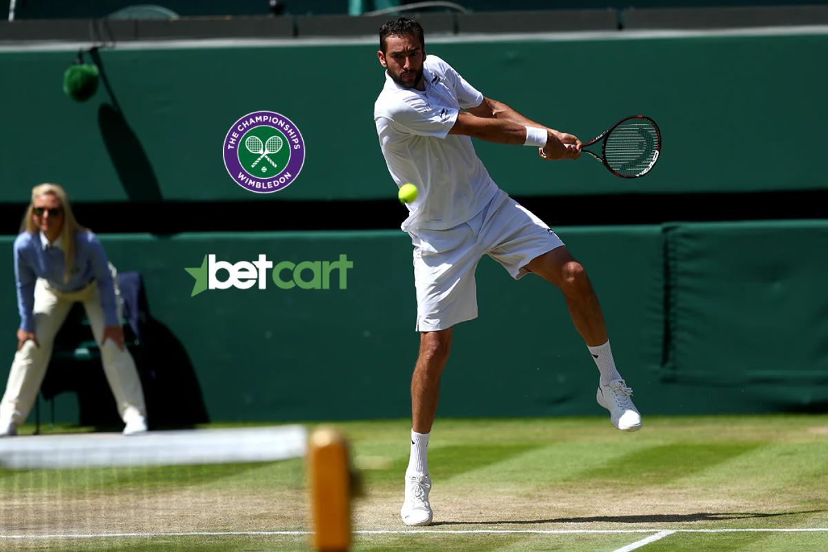 مارین چیلیچ